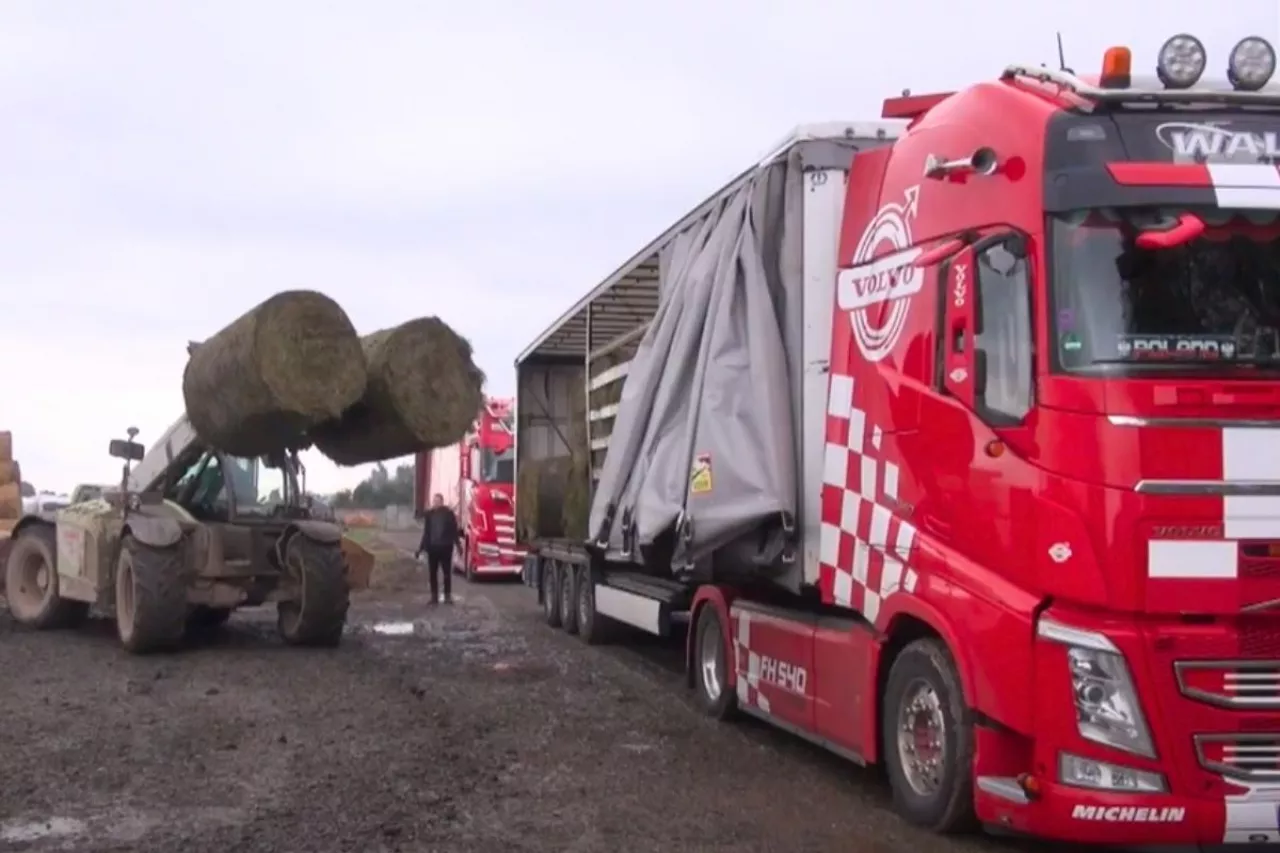 Bez pomocy od innych rolników, gospodarstwa zalane przez powódź czeka klęska [WIDEO]