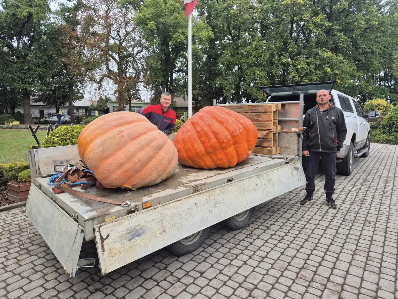 Finał 13. edycji Konkursu Uprawy Dyni Olbrzymich w Grzybnie rozstrzygnięty.