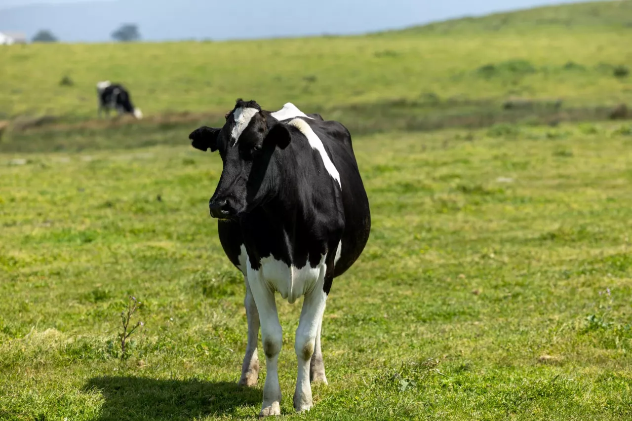 Startup Arkeabio zaprezentował swoją szczepionkę, która jest jeszcze w fazie rozwoju, ale wyniki dotychczasowych badań są bardzo obiecujące.