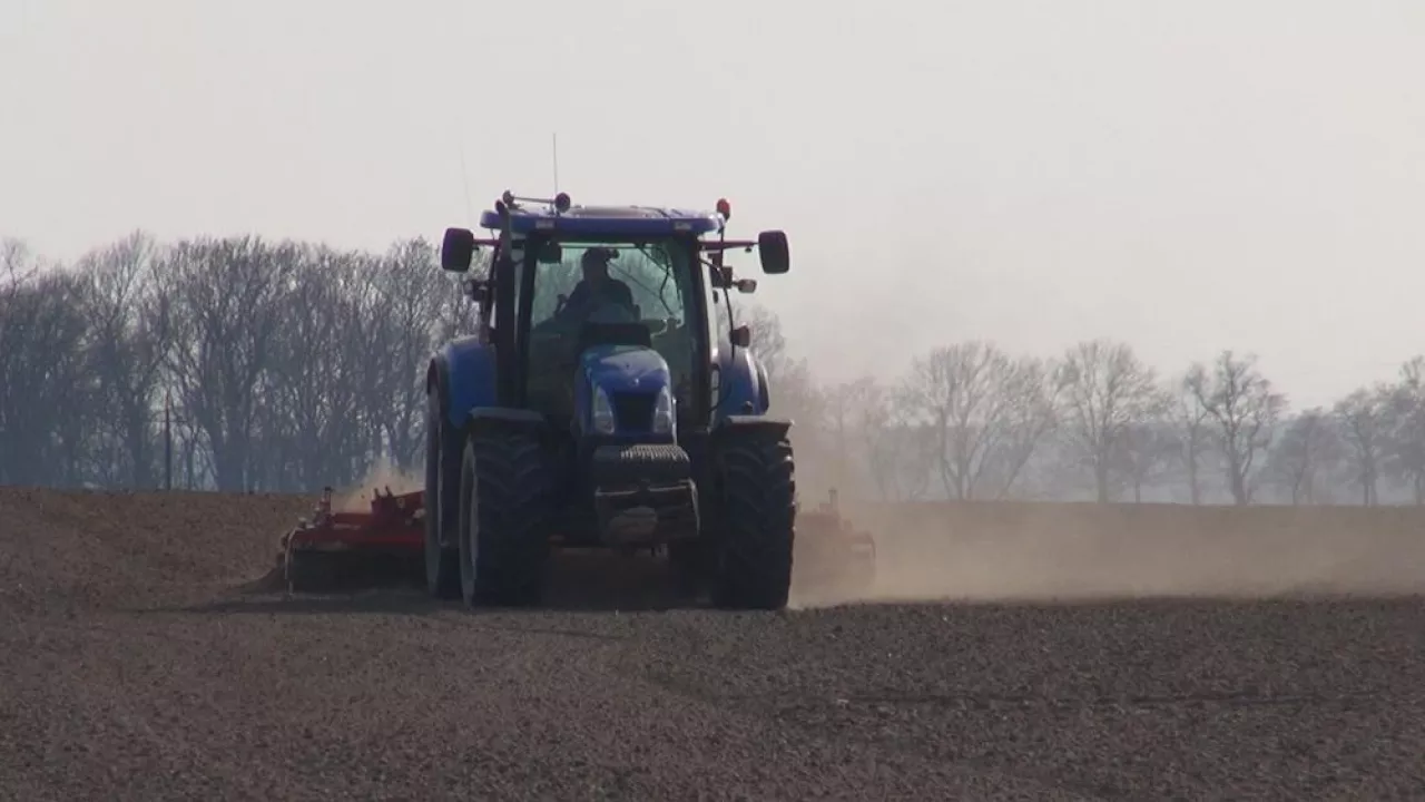 Dzisiejsze warunki pogodowe sprzyjają pracom polowym.