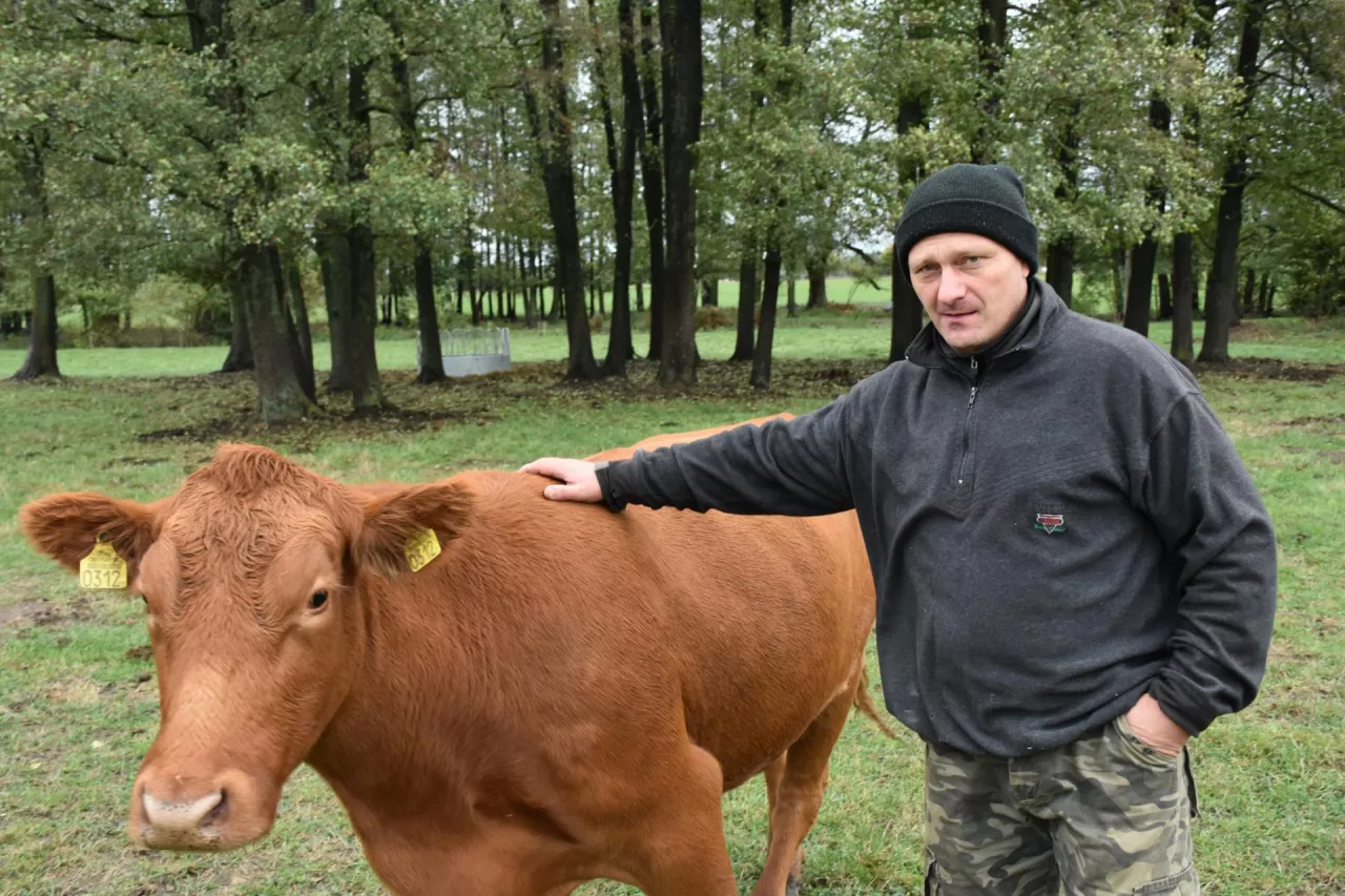 – &lt;em&gt;Budowanie dobrej hodowli bydła mlecznego trwa latami i z tego względu moja decyzja może wydawać się radykalna, ale produkcja mleka jest też bardzo pracochłonna i to z tego względu przeszedłem na bydło mięsne &lt;/em&gt;– przyznał hodowca.