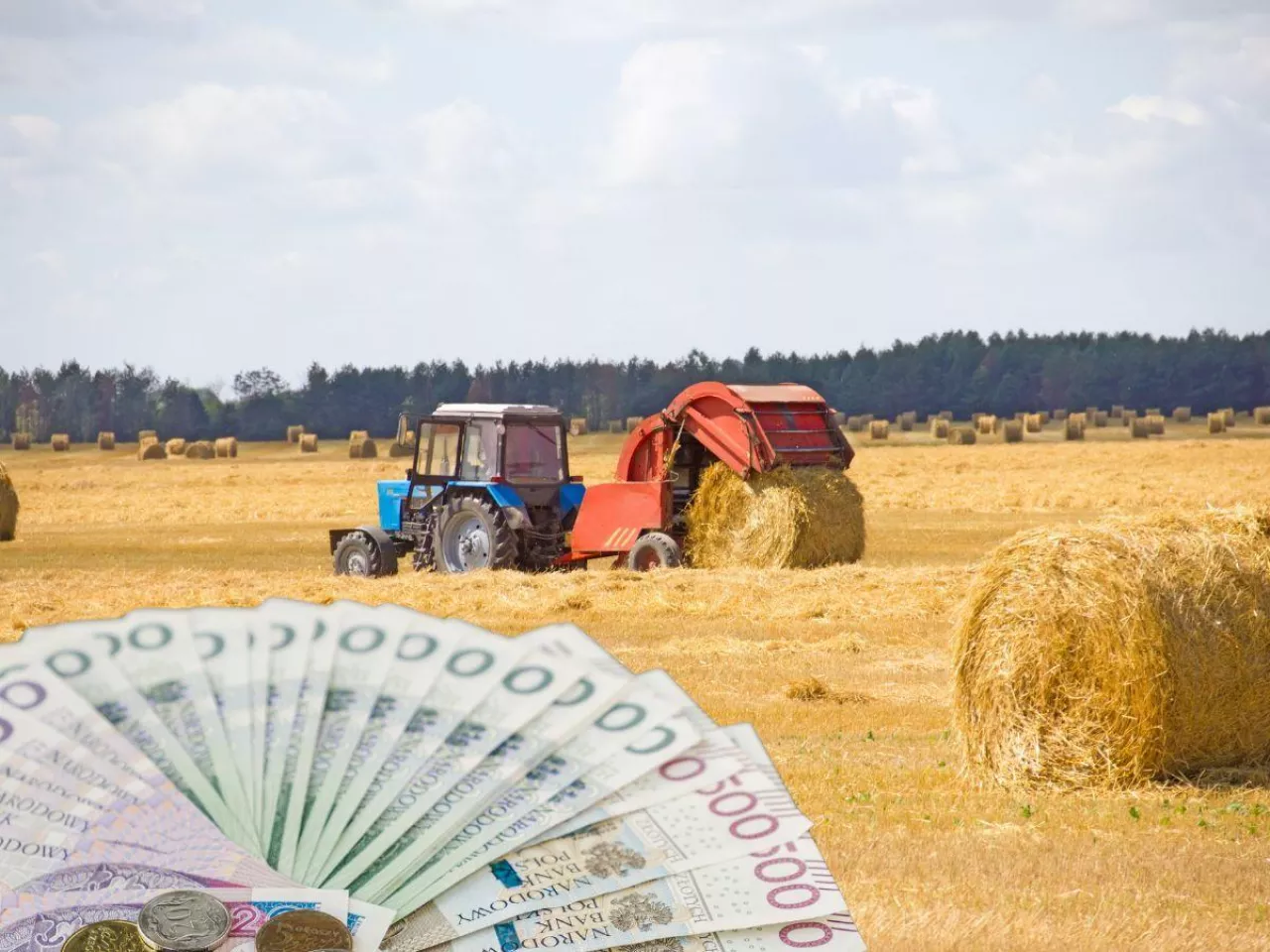 Ile dopłat bezpośrednich otrzyma rolnik za 2024 rok? Od czego to zależy?