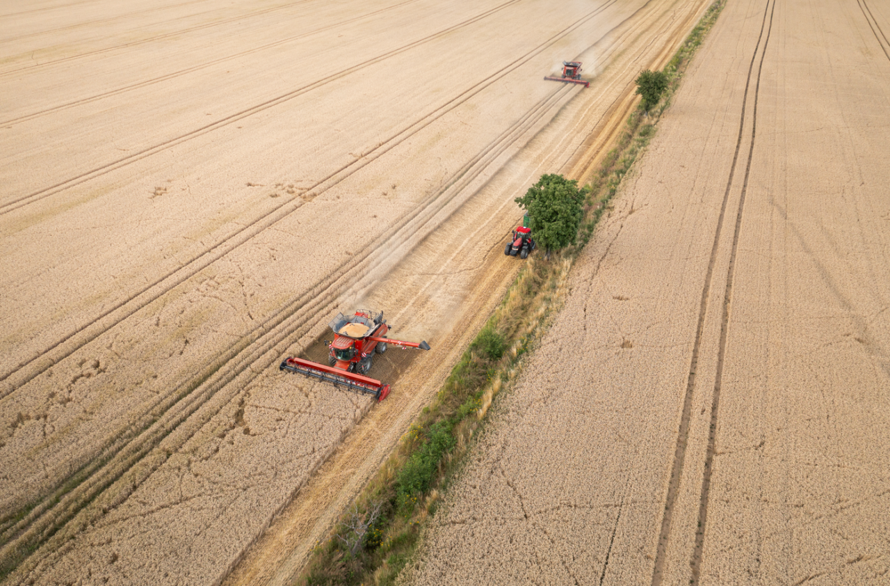 Co z ziemią po Top Farms? Spór o 5000 ha się zaostrza