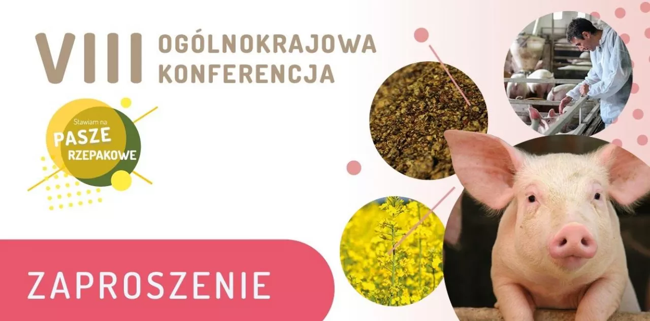 VIII konferencja PSPO