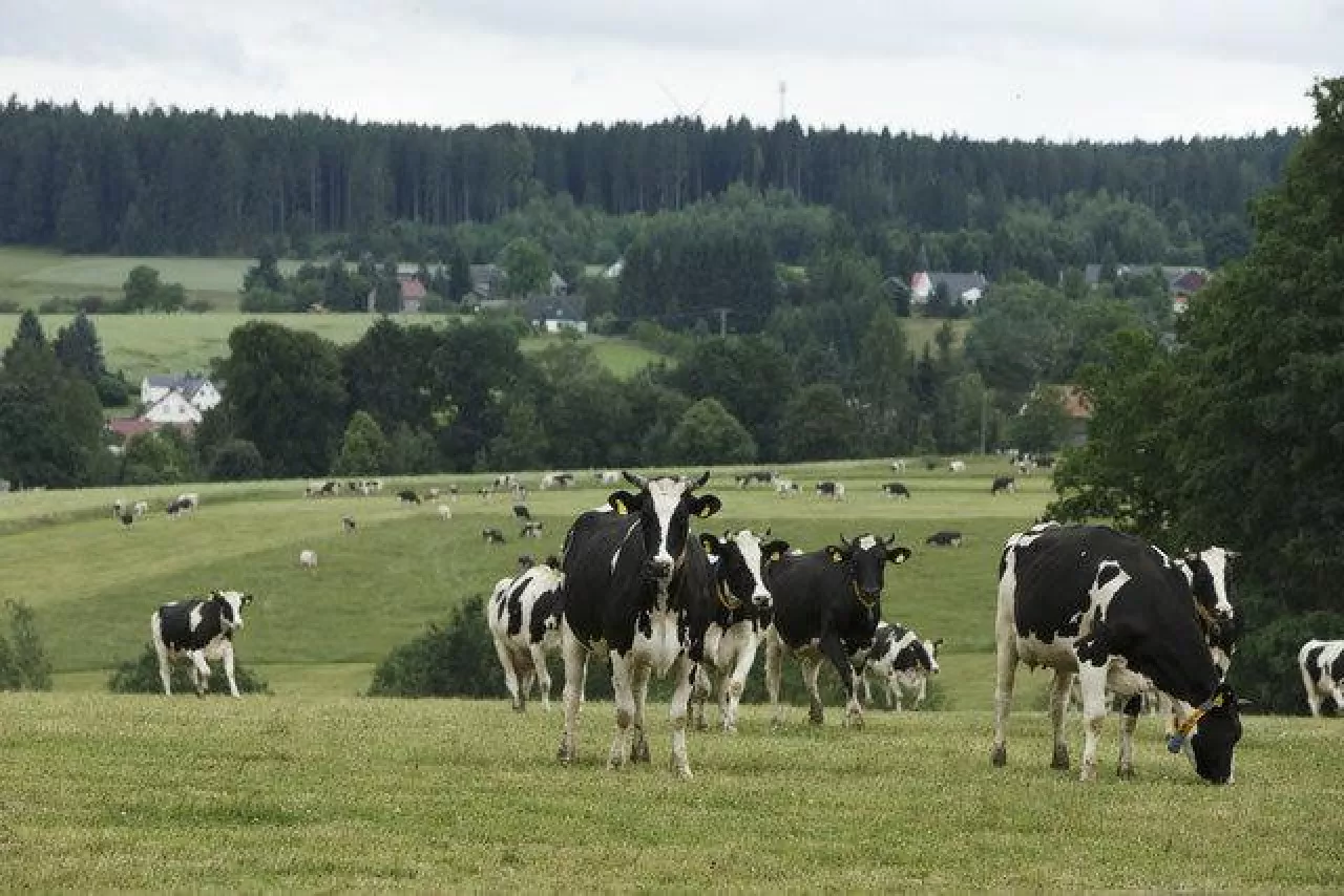 Wątpliwości co do umowy o wolnym handlu pojawiają się wśród jednego z dwóch najistotniejszych członków Mercosur, czyli Argentyny. Państwo to wielokrotnie deklarowało, że porozumienie państw Ameryki Południowej nie spełnia jej oczekiwań.