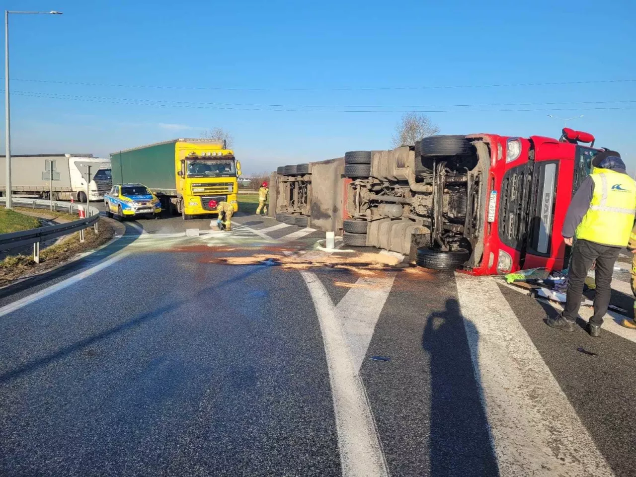 Wywrotka ciężarówki ze świniami zablokowała zjazd z autostrady.