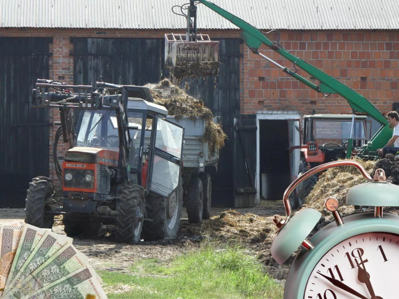 Płyty obornikowe do końca 2024. Ministerstwo wydłuża termin nielicznym rolnikom