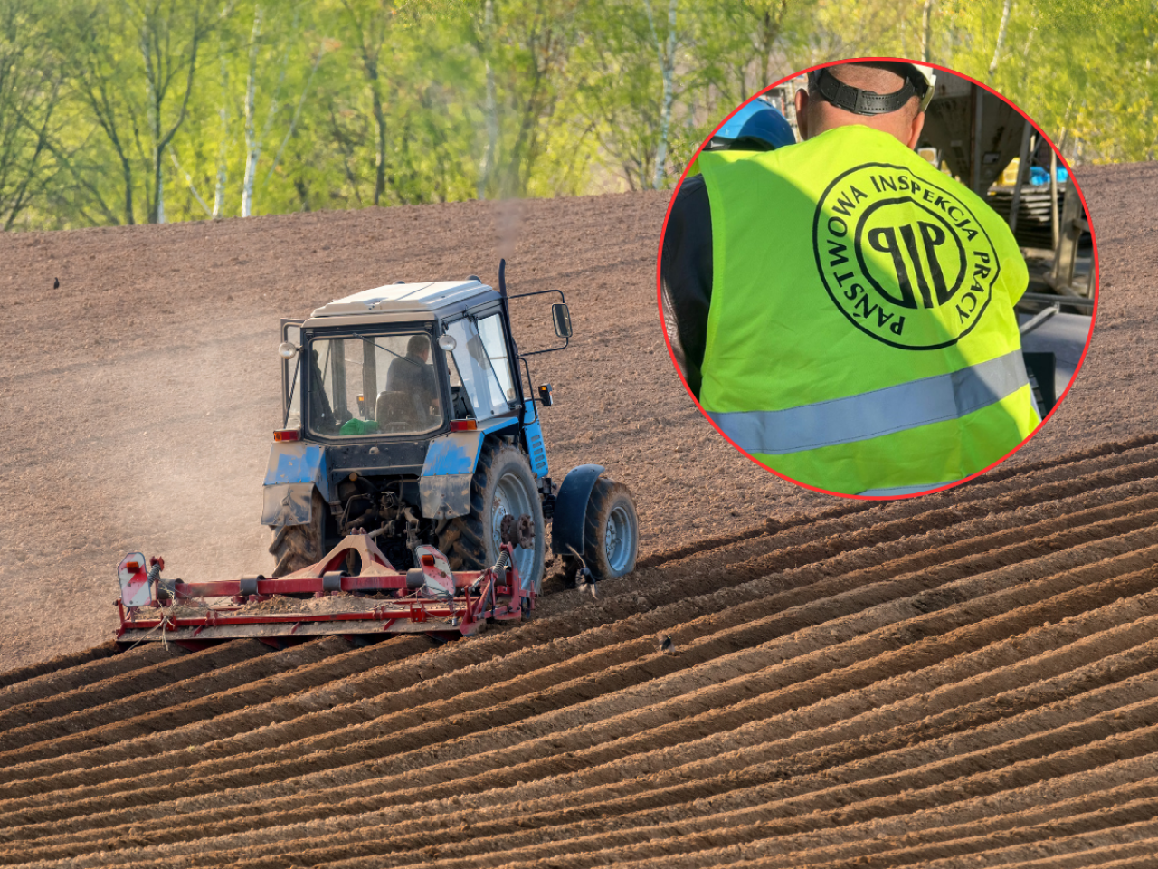 Rolnik straci dopłaty za brak BHP. Ruszają kontrole. Jak będą wyglądały?