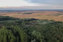 Kiedy gminie przysługuje prawo pierwokupu, a kiedy są od niego wyjątki?