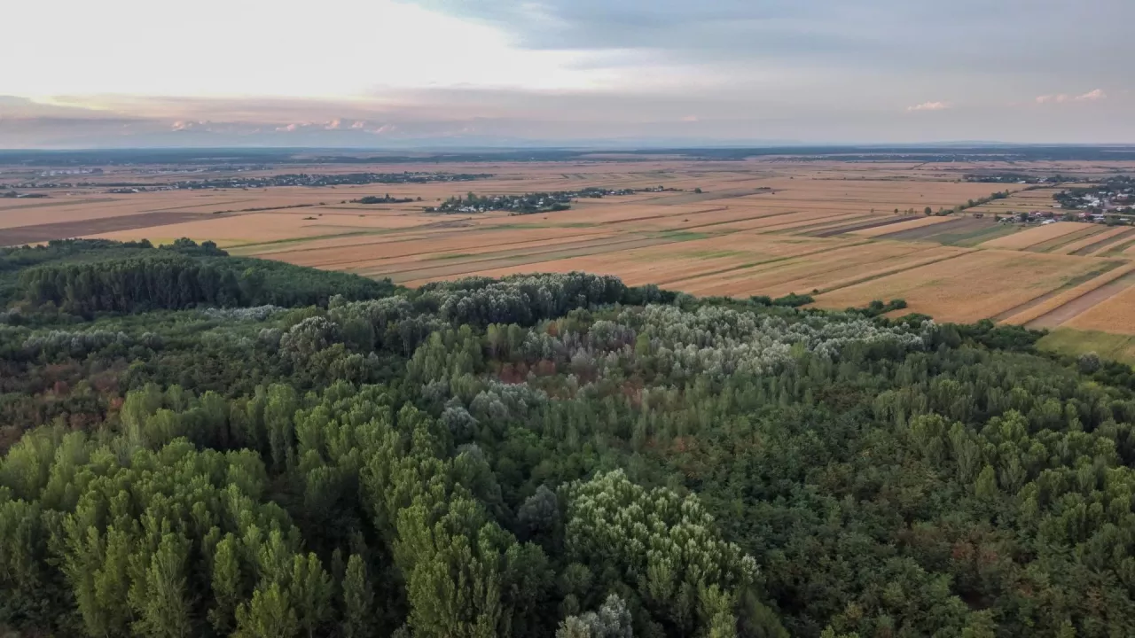 Kiedy gminie przysługuje prawo pierwokupu, a kiedy są od niego wyjątki?