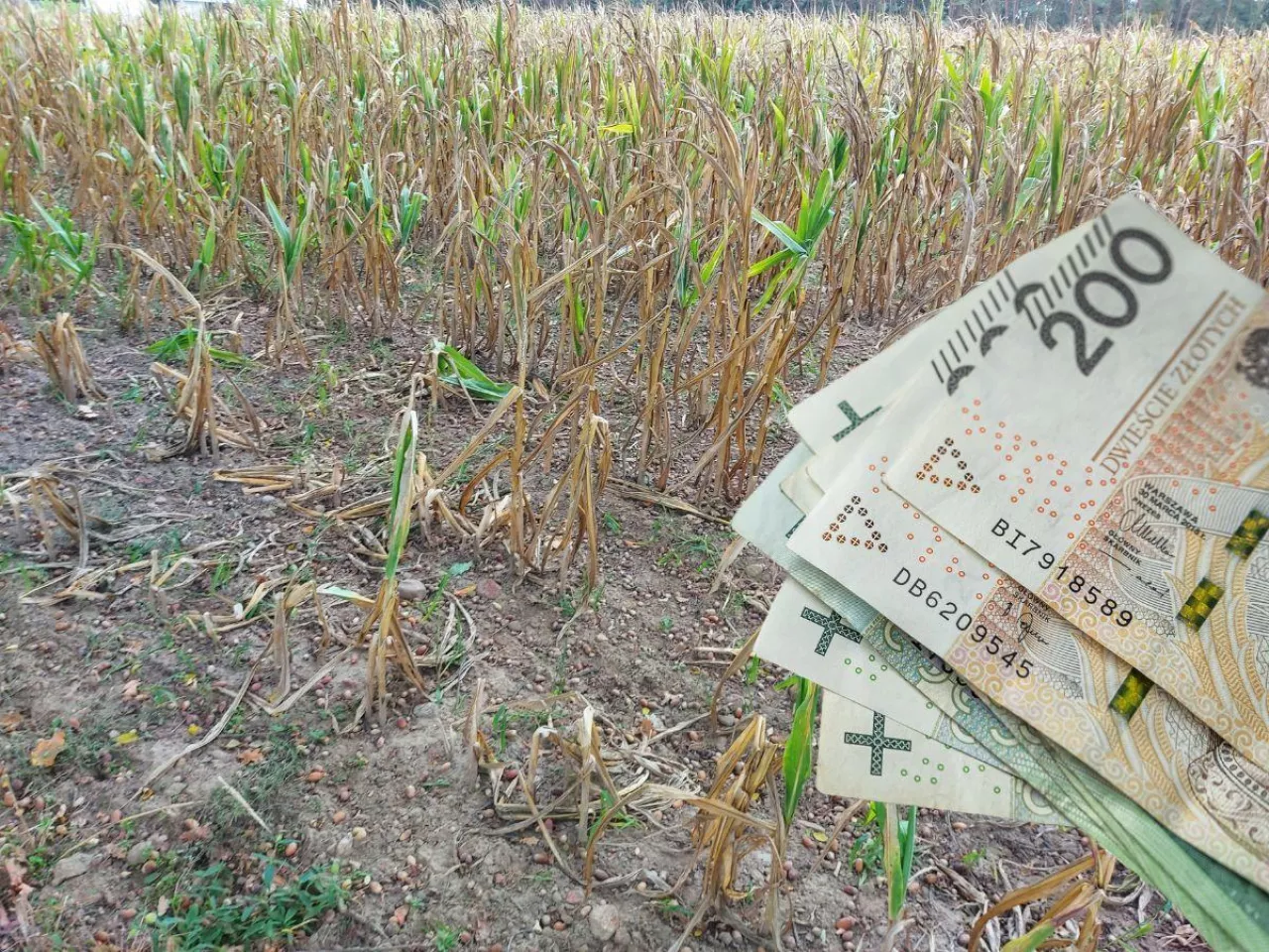 Kryteria do zmiany - od zaraz.