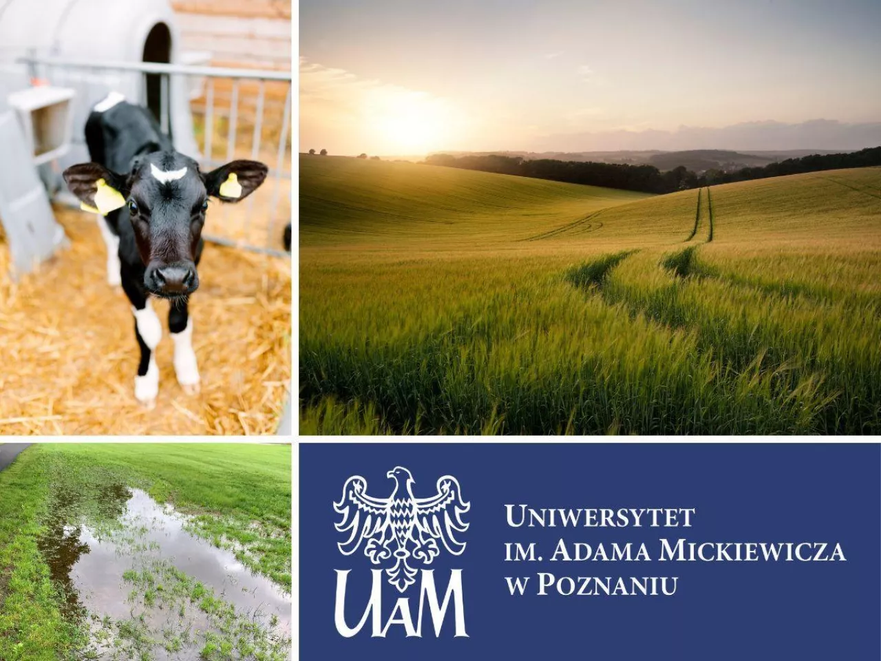 Międzynarodowa Konferencja Naukowo-Szkoleniowa
Zrzeszanie się producentów rolnych wobec aktualnych wyzwań, w tym WPR 2023-2027 i polityki rolnej w krajach poza UE – aspekty prawne i ekonomiczne
 