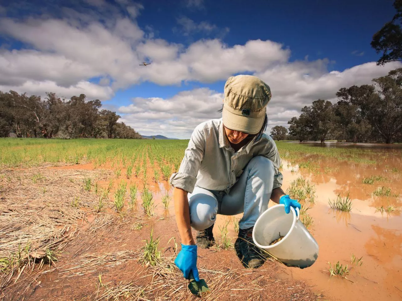 Inspekcja zbadała grunty po powodzi. Jakie zagrożenie dla upraw?