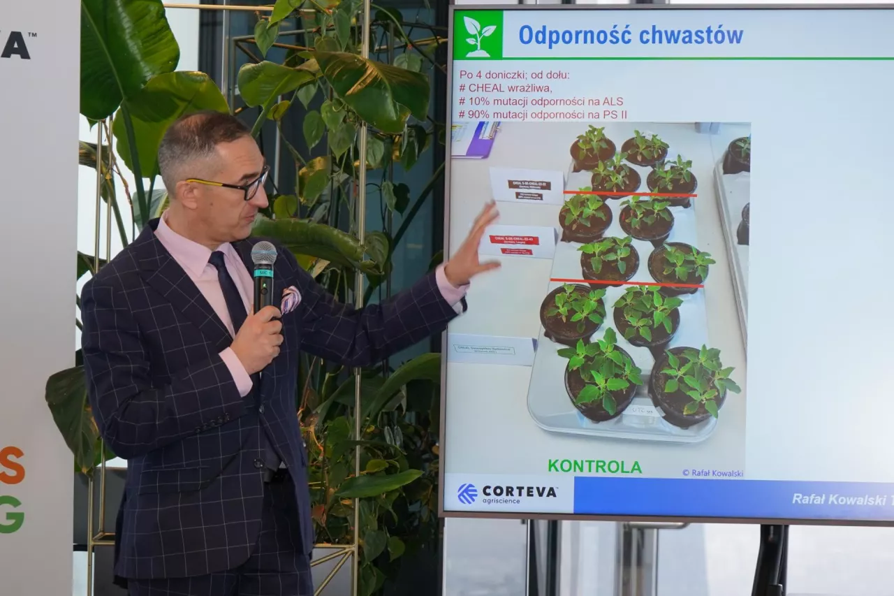 W ostatnich latach wycofano trzy ważne substancje czynne służące do odchwaszczania buraka cukrowego. To powoduje trudności w ochronie, ale też podnosi ryzyko odporności chwastów. Spodziewana rejestracja molekuły Rinskor active, zdaniem Rafała Kowalskiego Corteva Agriscience obniży istotnie to ryzyko i bardzo ułatwi budowanie skutecznych programów odchwaszczania dawkami dzielonymi