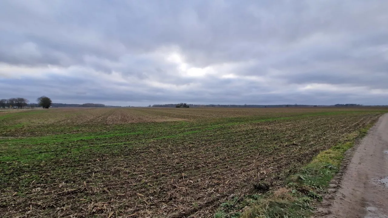 Kiedy członek RSP może sprzedać ziemię rolną?