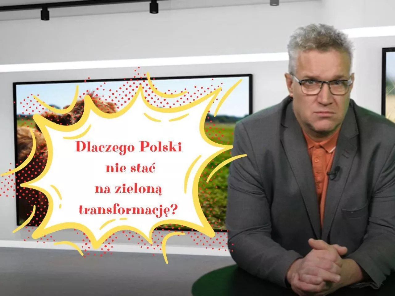 Dlaczego Polski nie stać na zieloną transformację?