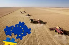 Ukraiński ekspert: agroholdingi potrzebują dopłat z UE. Inaczej nasze rolnictwo upadnie