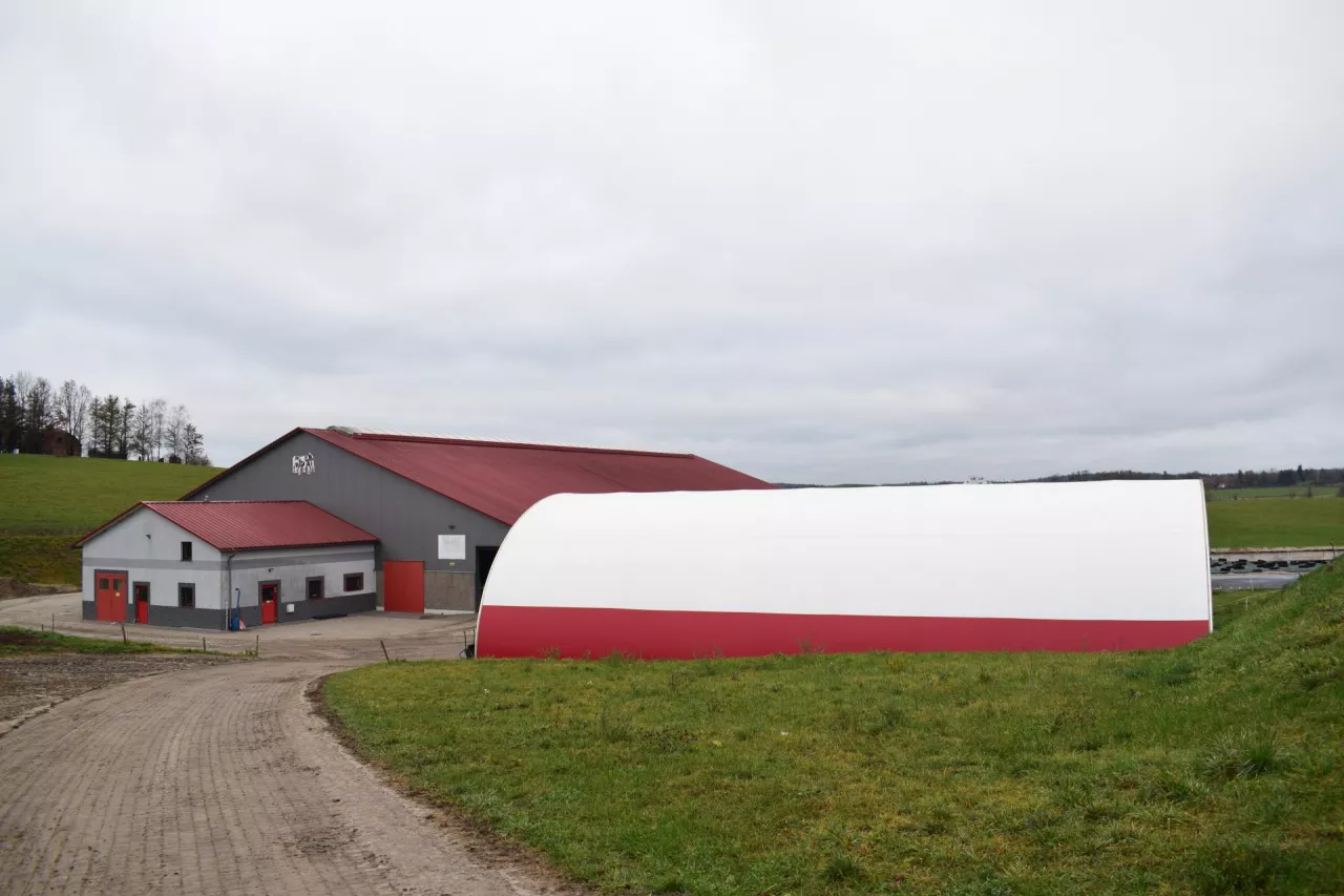 Kolejne inwestycje państwa Więcków realizowane są przez tę samą sprawdzoną, lokalną firmę Przedsiębiorstwo Budowlane Szczuka, najnowsza inwestycja to hala łukowa dla cieląt i jałówek o wymiarach 22 m x 12 m, w środku 10 kojców pojedynczych i 5 kojców grupowych po 3 sztuki