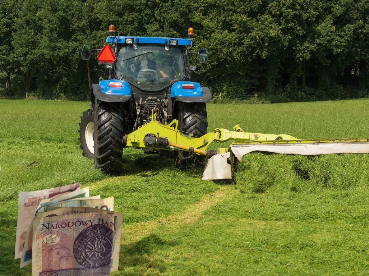 Dopłaty rolno-środowiskowe na nowych zasadach. Co się zmieni? Za co kary dla rolników?