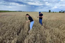 Rolnicy dopięli swego. Tam w każdej gminie będą komisje suszowe