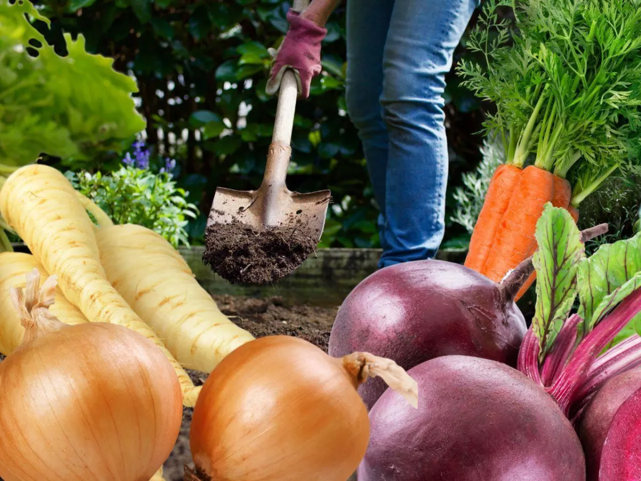 Aplikacja Food Farmer dla rolnika i konsumenta.