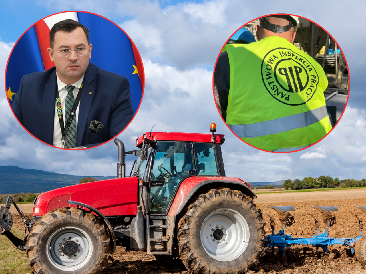 - PIP nie będzie kontrolował rolników, którzy zatrudniają pracowników sezonowych - poinformował wiceminister rolnictwa Stefan Krajewski.