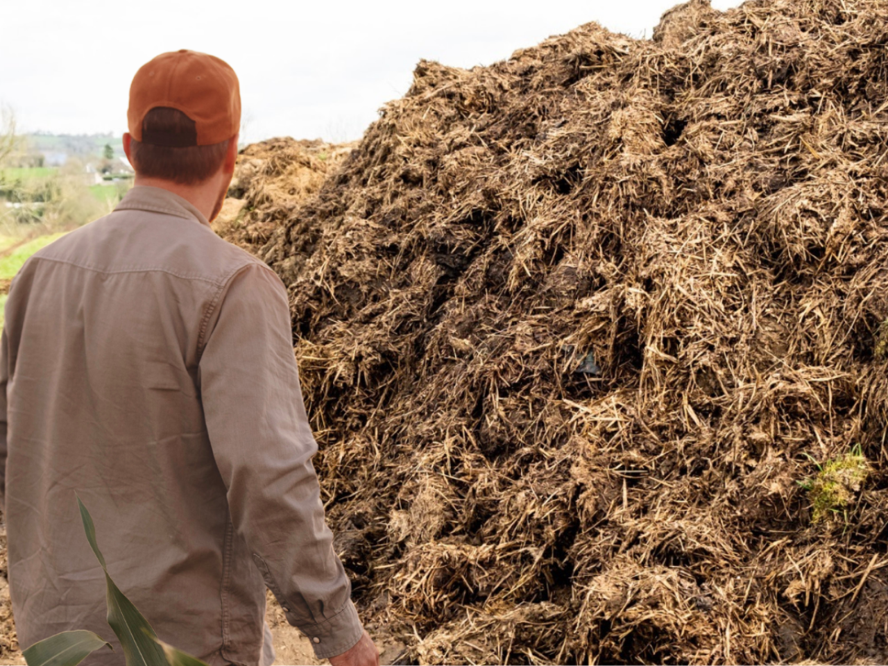 Płyty obornikowe: inspekcja kontroluje gospodarstwa. ”Rolnicy zapłacą za opieszałość ministerstwa” 