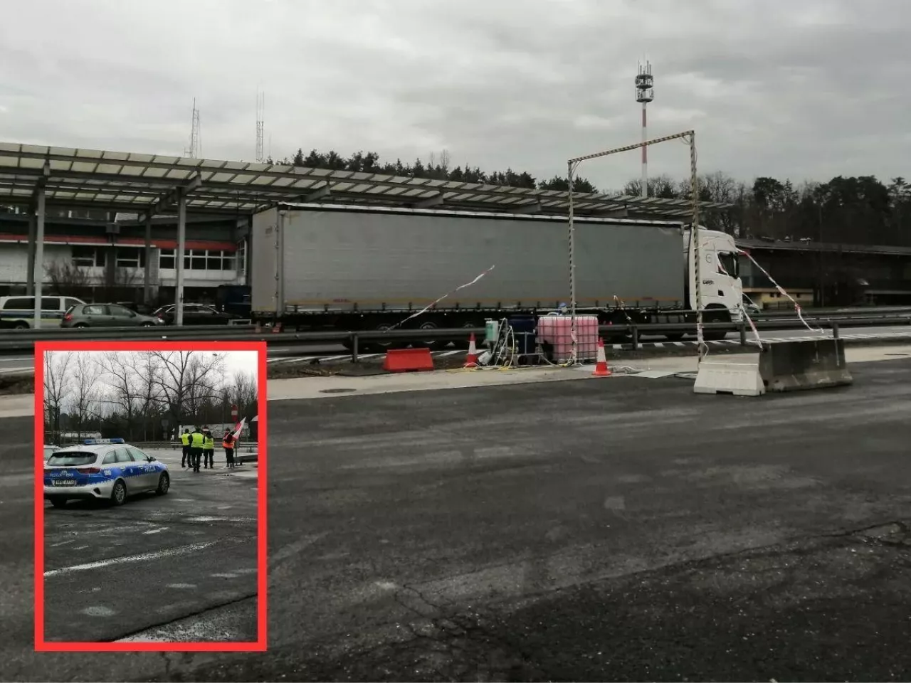 Jak ministerstwo i weterynaria bronią rolników przed pryszczycą?