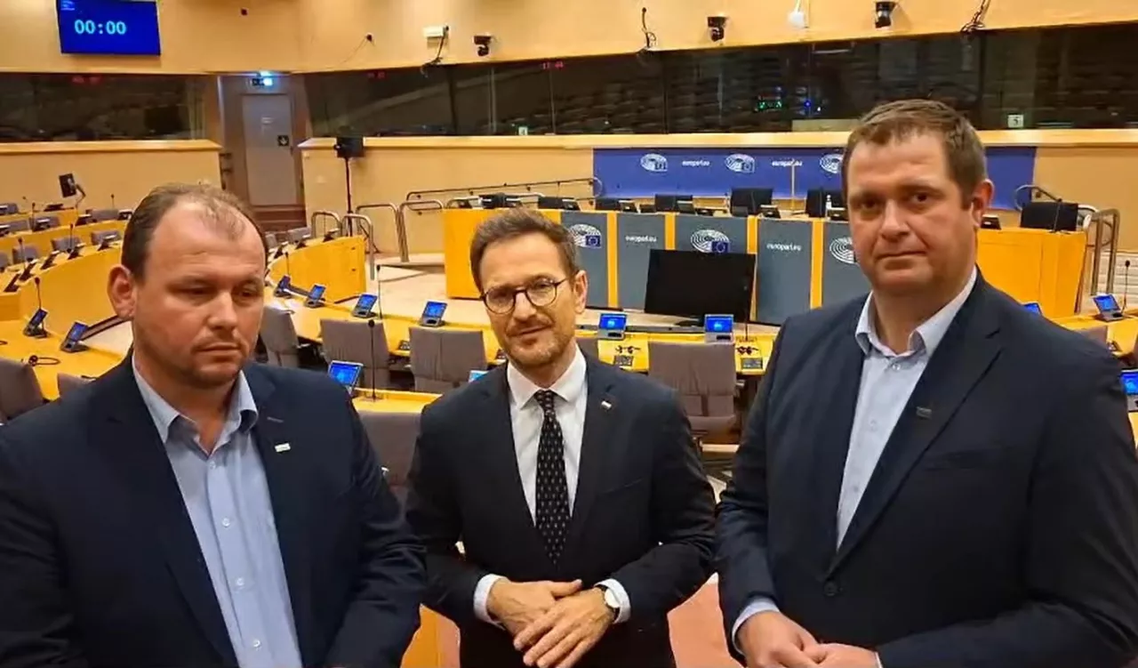 Solidarność Rolników: od 2028 roku nie będzie dopłat bezpośrednich