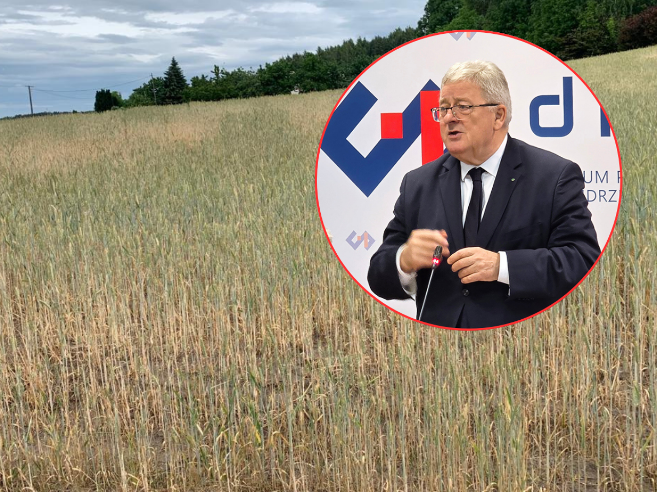 Pomoc suszowa na nowych zasadach. Wracają komisje i pomoc dla rodzin