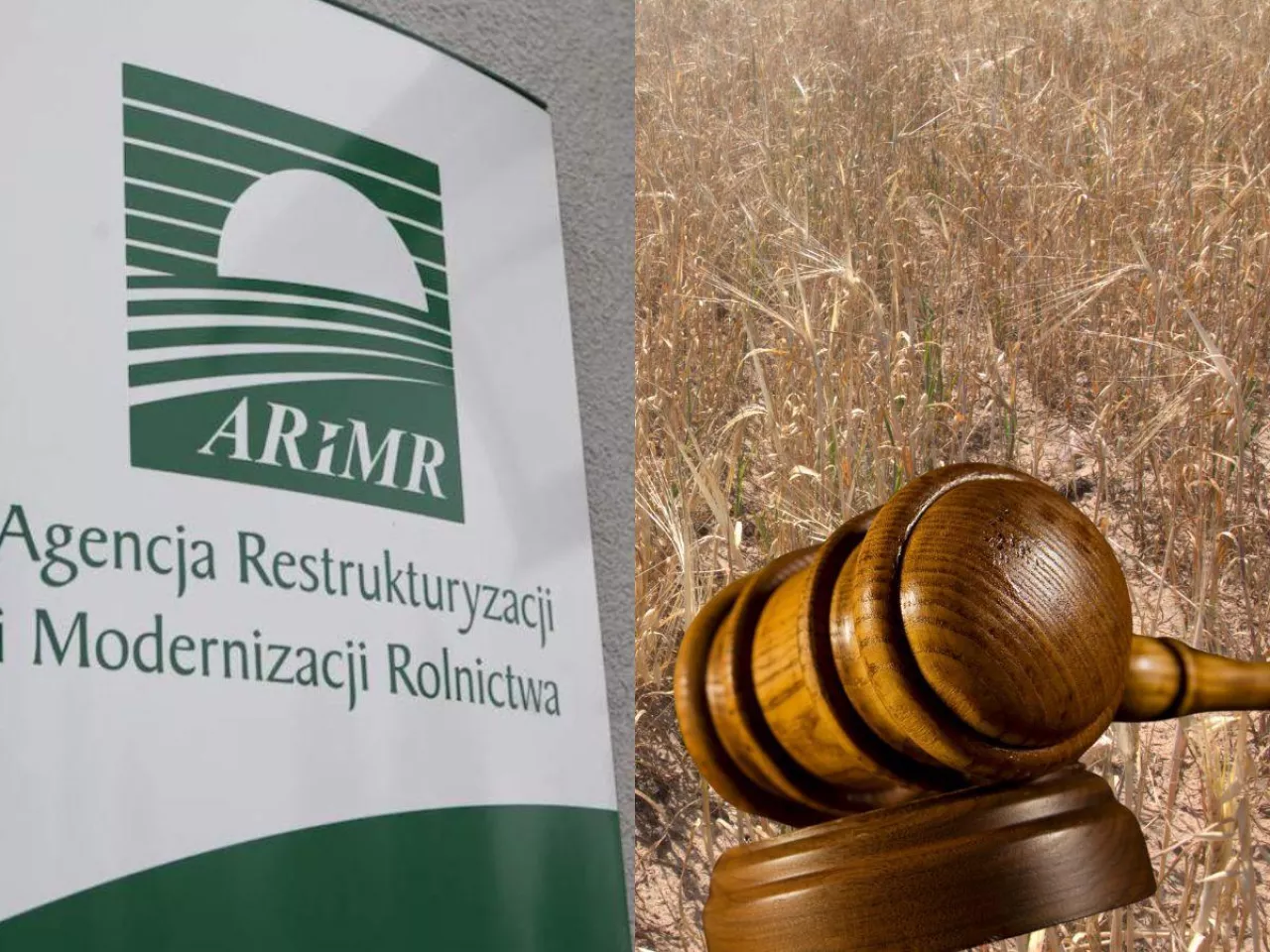 Rolnik sądził się z ARiMR, bo nie dostał pomocy suszowej.