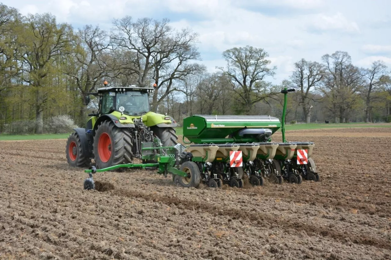 Pszenica i pszenżyto jare: jaki optymalny termin siewu?