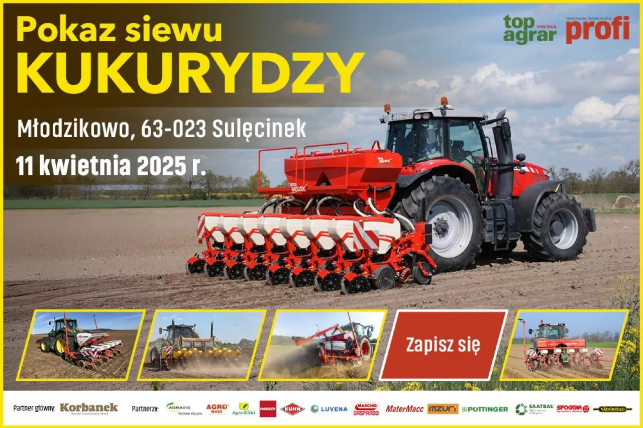 Różne technologie siewu kukurydzy w jednym miejscu