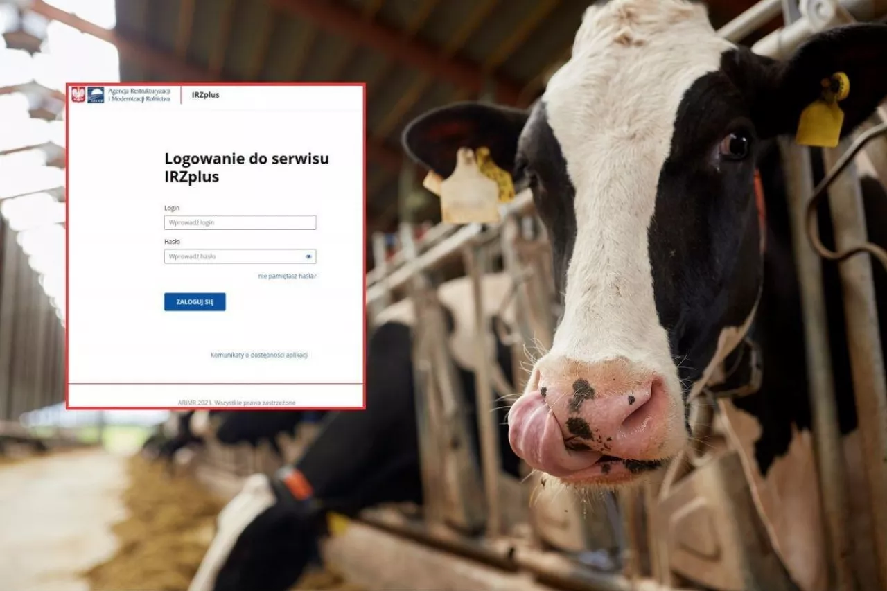 Od 1 stycznia 2026 r. posiadacze bydła, owiec, kóz i świń oraz właściciele koniowatych nie będą mogli składać dokumentów w postaci papierowej na formularzach udostępnionych na stronie internetowej Agencji.