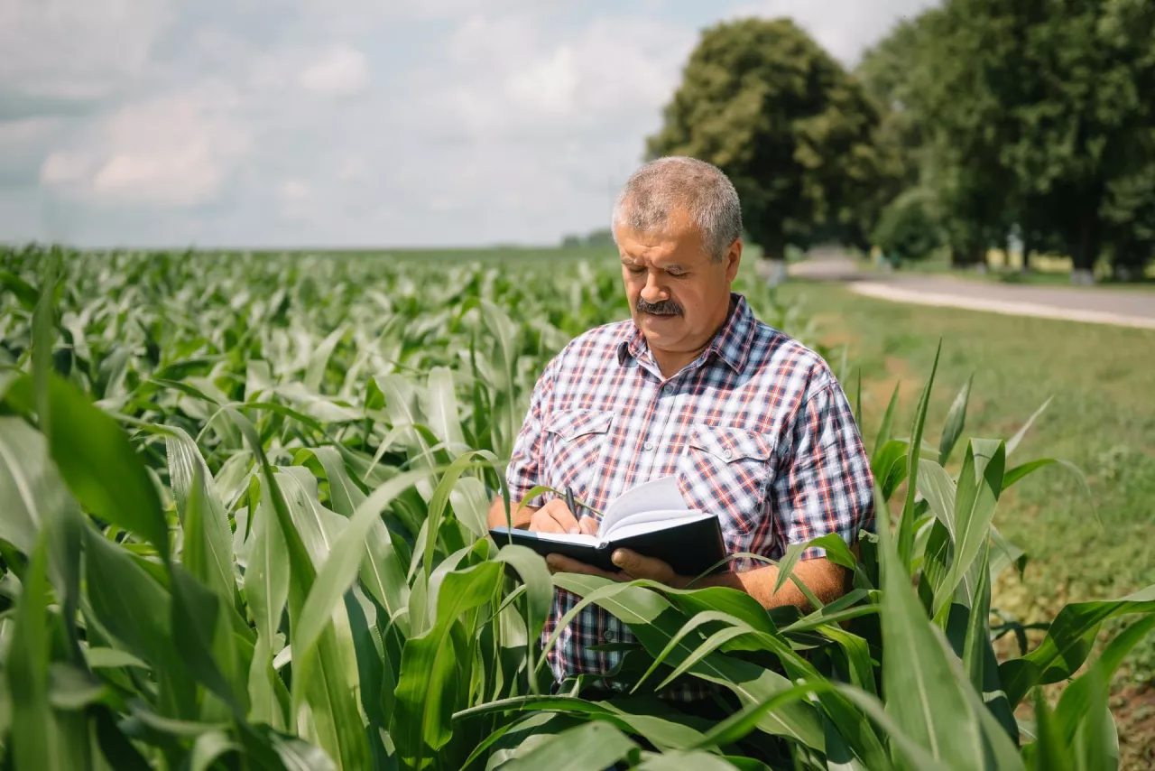 Rolnik uprawia ziemię czy dopłaty?