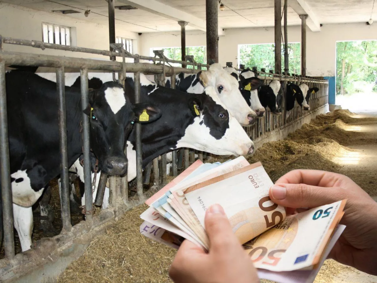 Szokujące wyliczenia europosłów. Ze 100 euro wydanych w sklepie rolnik dostaje tylko 7 euro