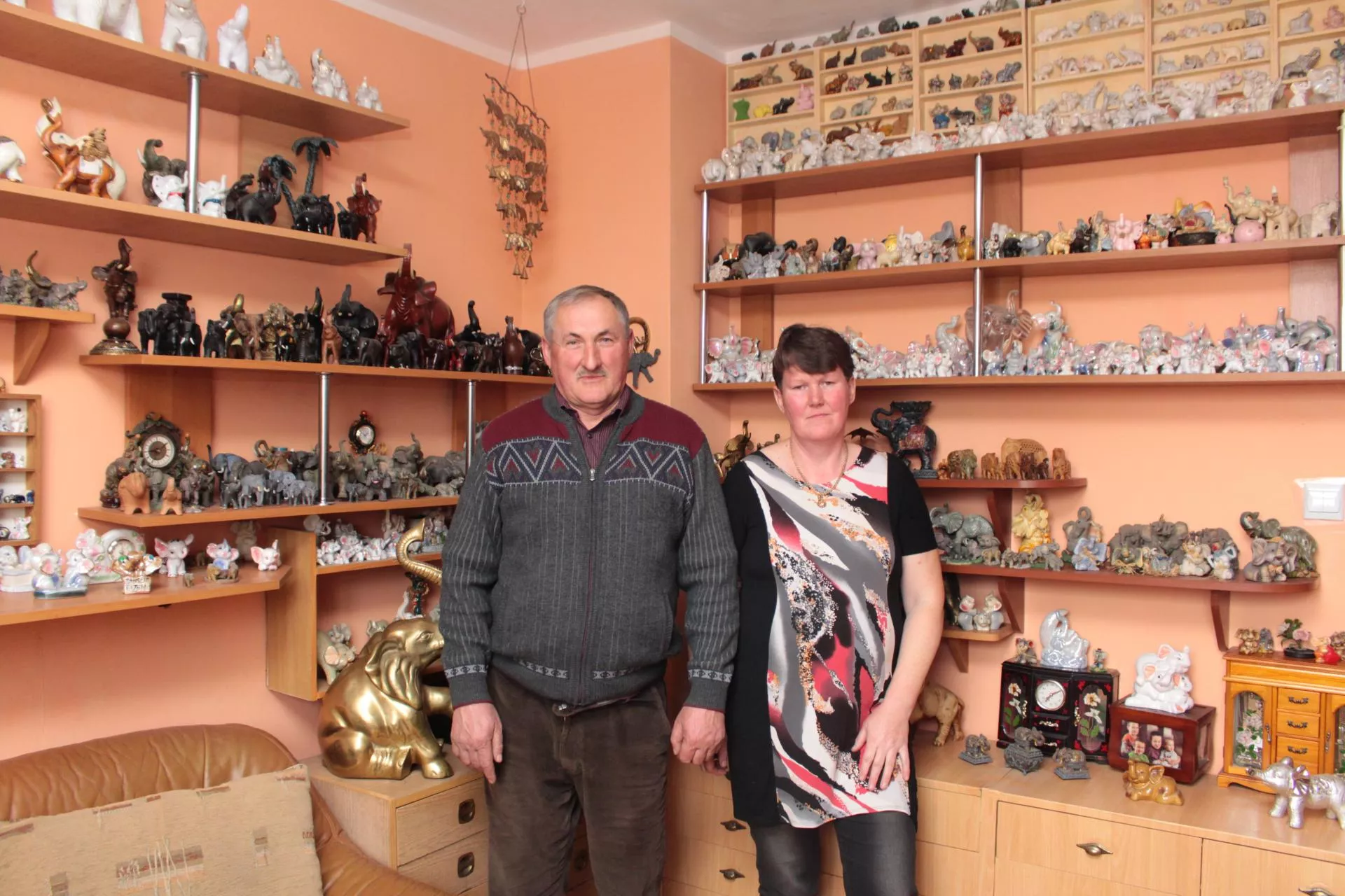 Tysiące słoni w Bocianim Zakątku. Niezwykłe gospodarstwo na Kujawach