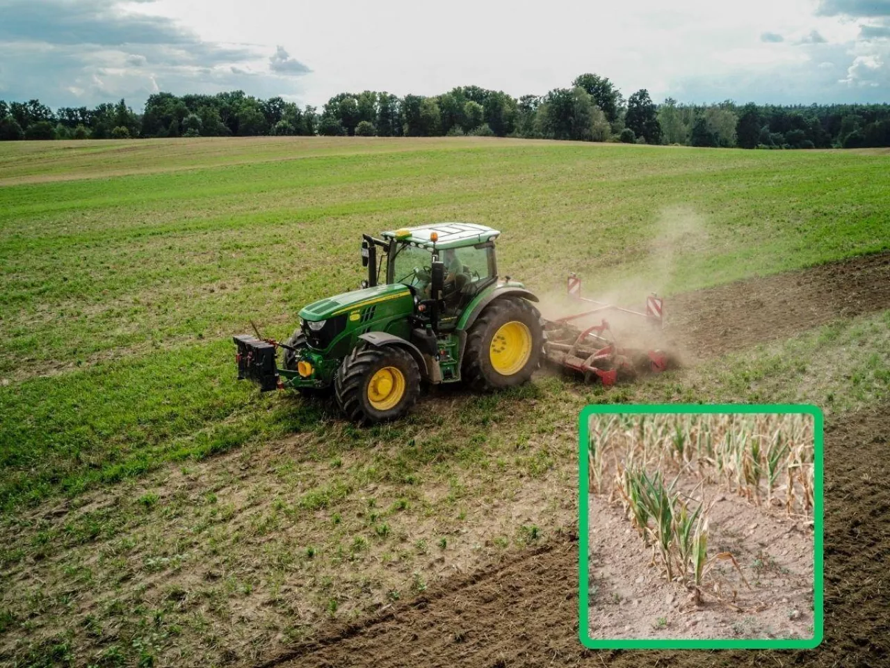 Susza na polach. Jak zwiększyć ilość wody w glebie?