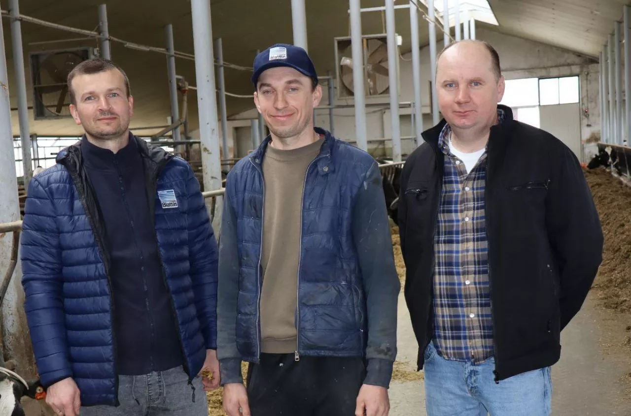 Rolnicy spod Łukowa doją co rok o 100 tysięcy litrów mleka więcej