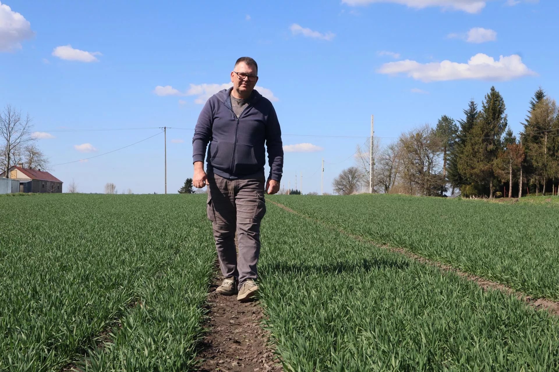 Jak rolnik spod Hrubieszowa chroni rzepak przed chorobami grzybowymi?