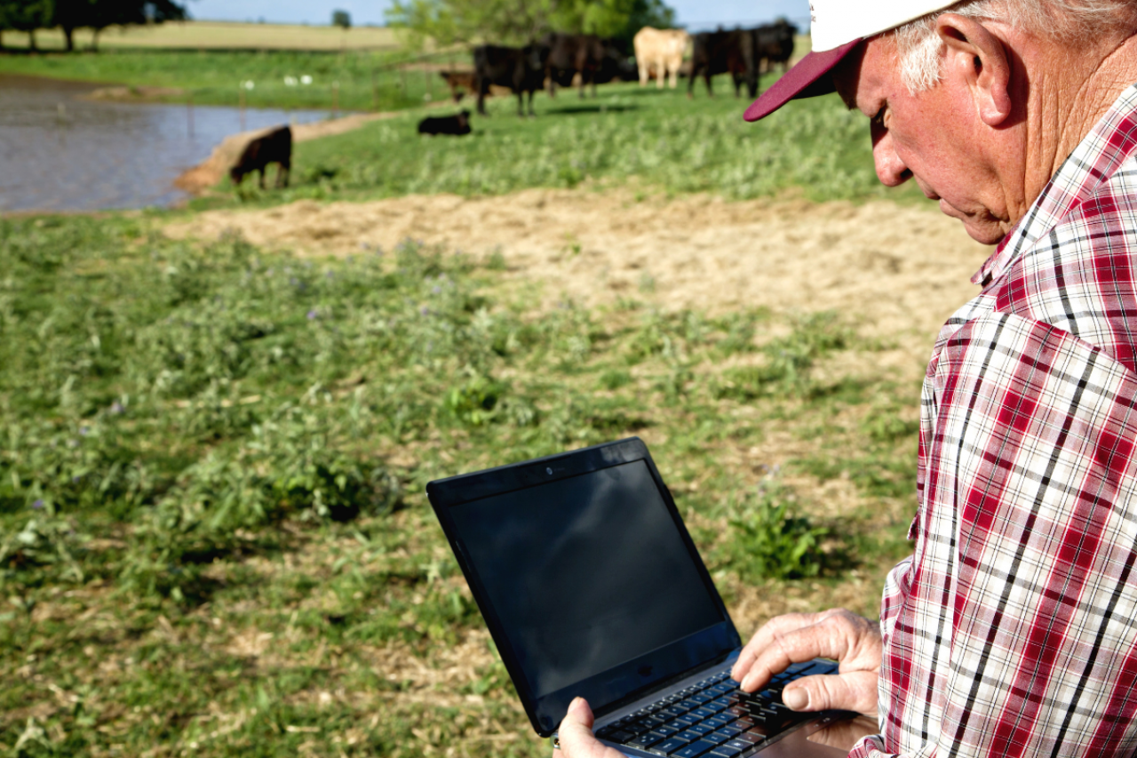 Zwrot podatku rolnego dla rolników: ruszył nabór wniosków w ARiMR