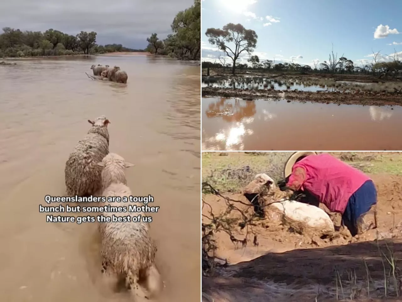 150 tysięcy sztuk bydła zginęło w powodzi. Największa katastrofa od 50 lat