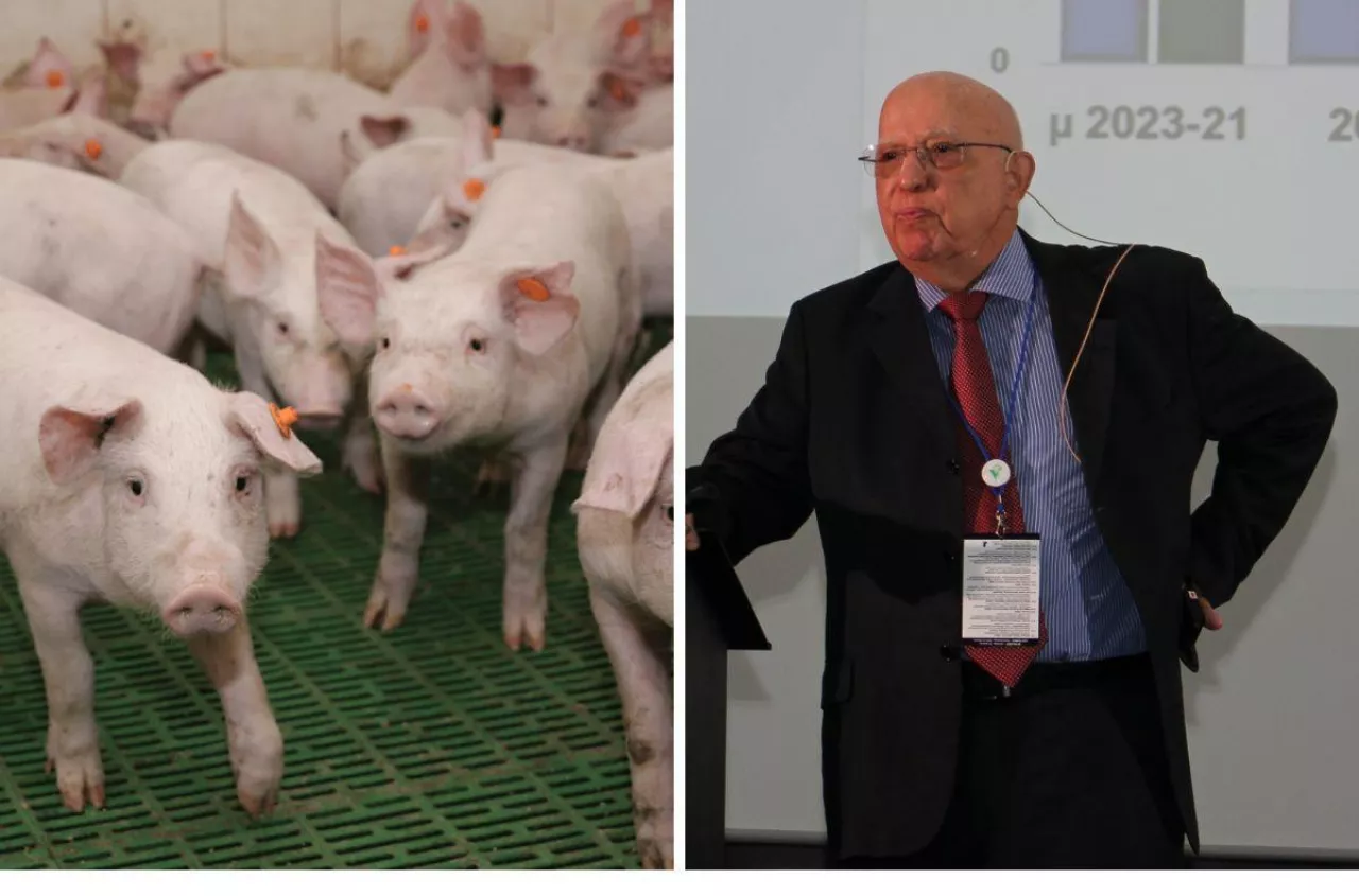 Do 2033 roku wzrośnie spożycie mięsa. Gdzie najbardziej? Jakie jeszcze zmiany nas czekają?