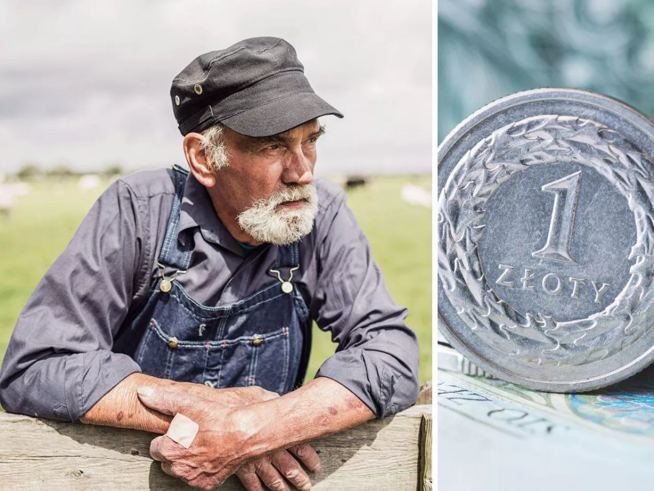 Rolnicy walczą o wyższe emerytury. System zaniża im świadczenia