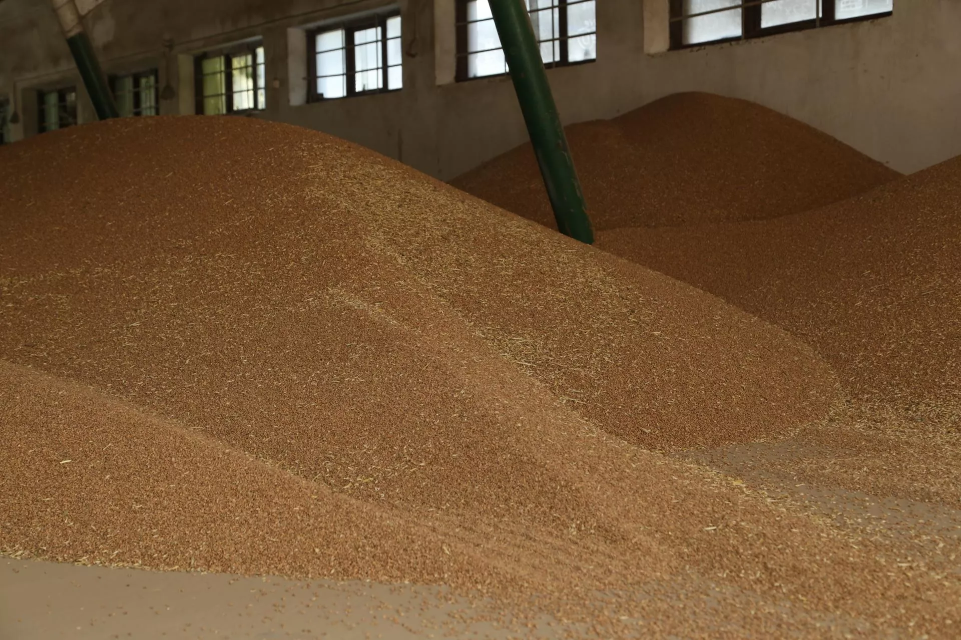 Zboże z Ukrainy znów zaleje Polskę po 5 czerwca?