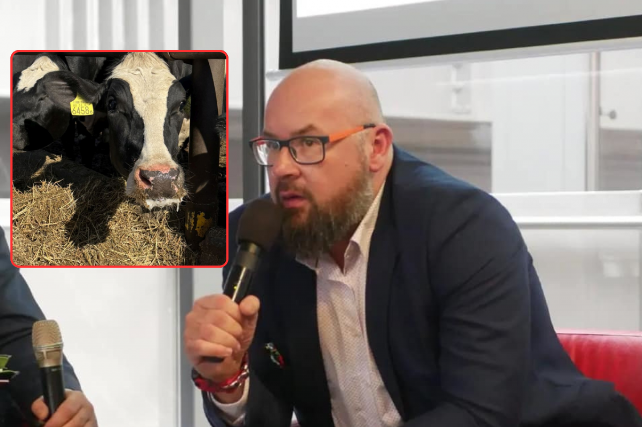 Zarzecki: branża wołowiny straci 30 mln zł dziennie, jeśli w Polsce wybuchnie ognisko pryszczycy