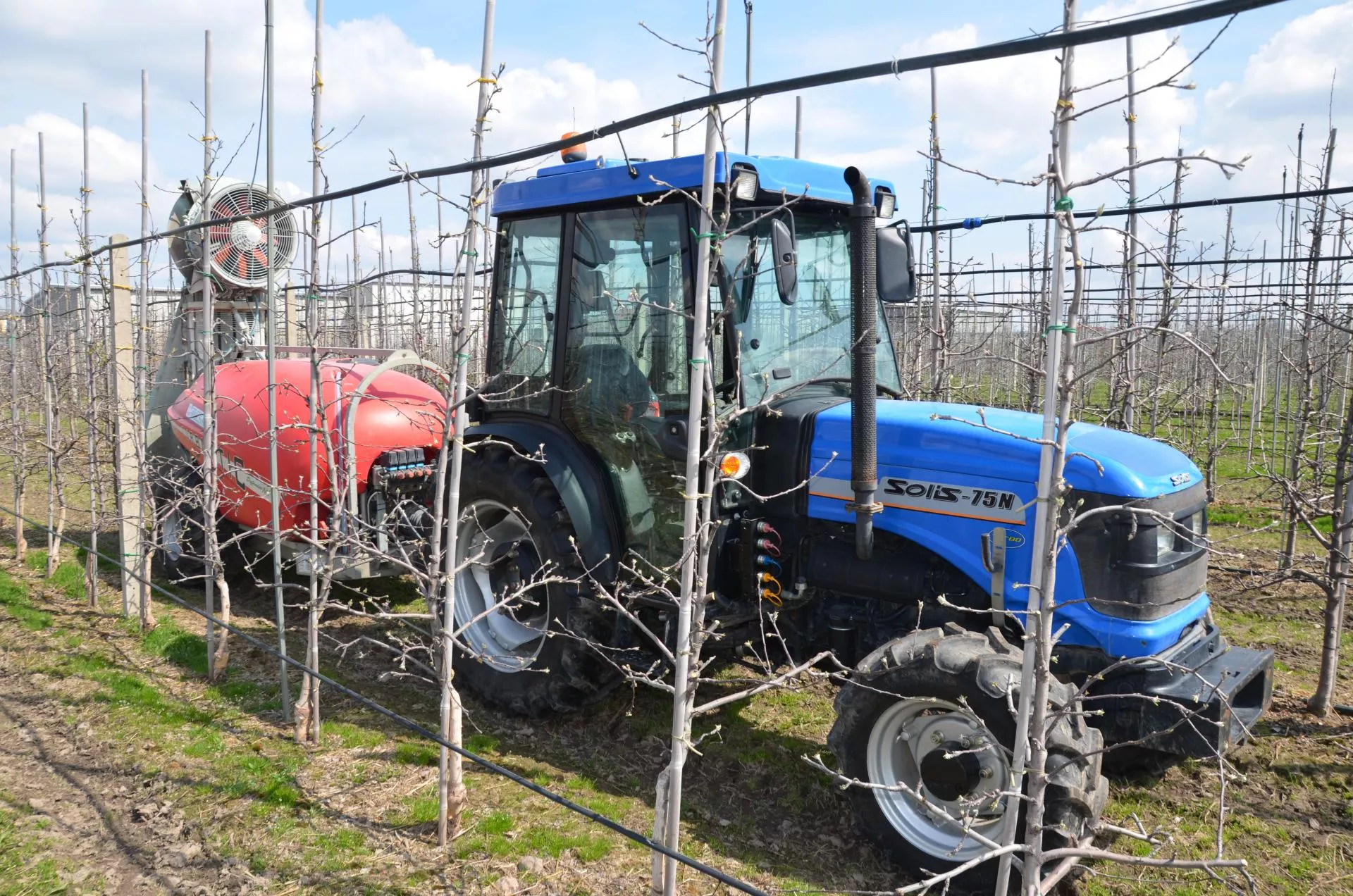 Acetamipryd: KE zaostrza zasady stosowania. W jakich uprawach? Od kiedy?