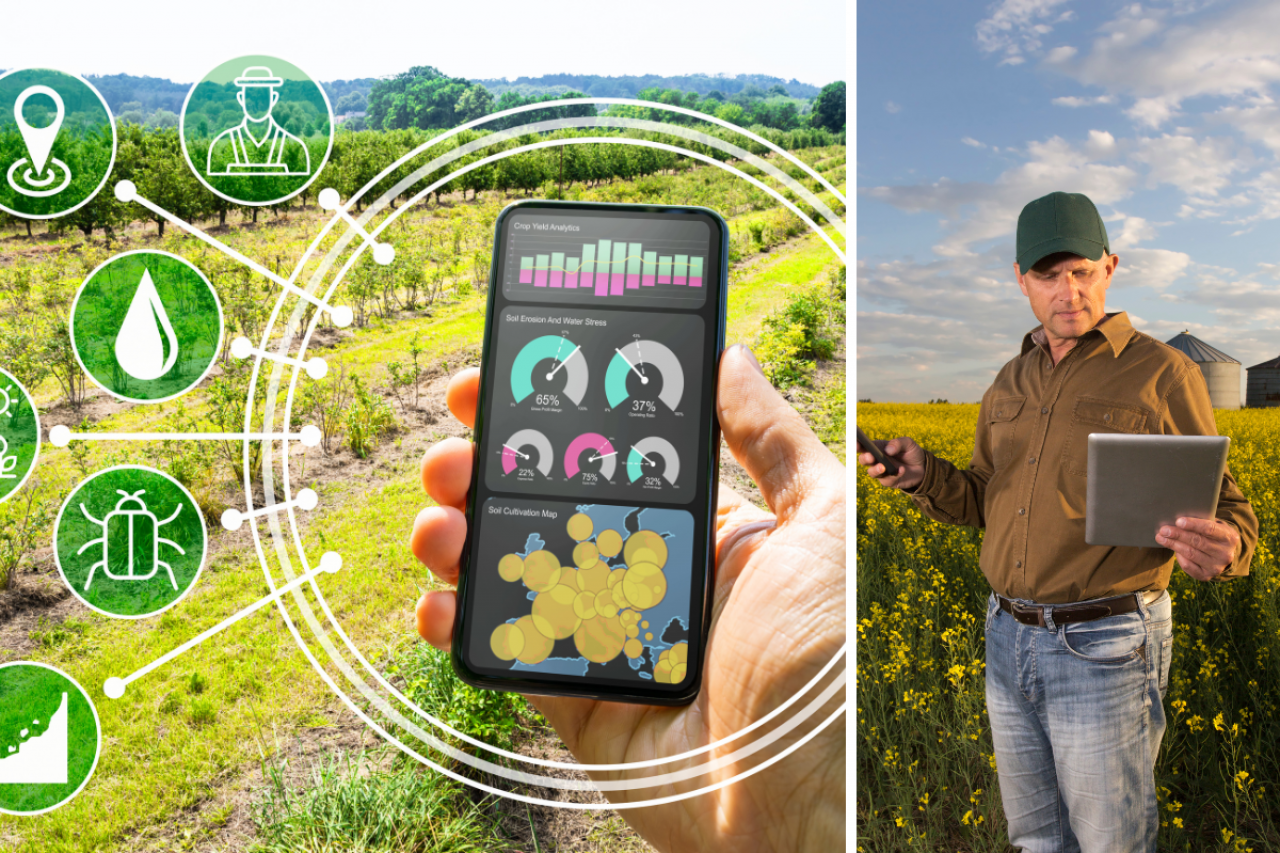 Rolnictwo 4.0: wszyscy rolnicy otrzymają dotację do 200 tys. zł