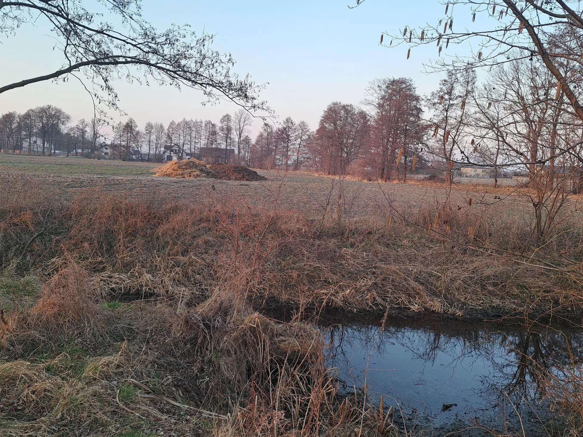 Rolnicy dostaną więcej czasu w budowę płyt obornikowych. Jakie terminy?
