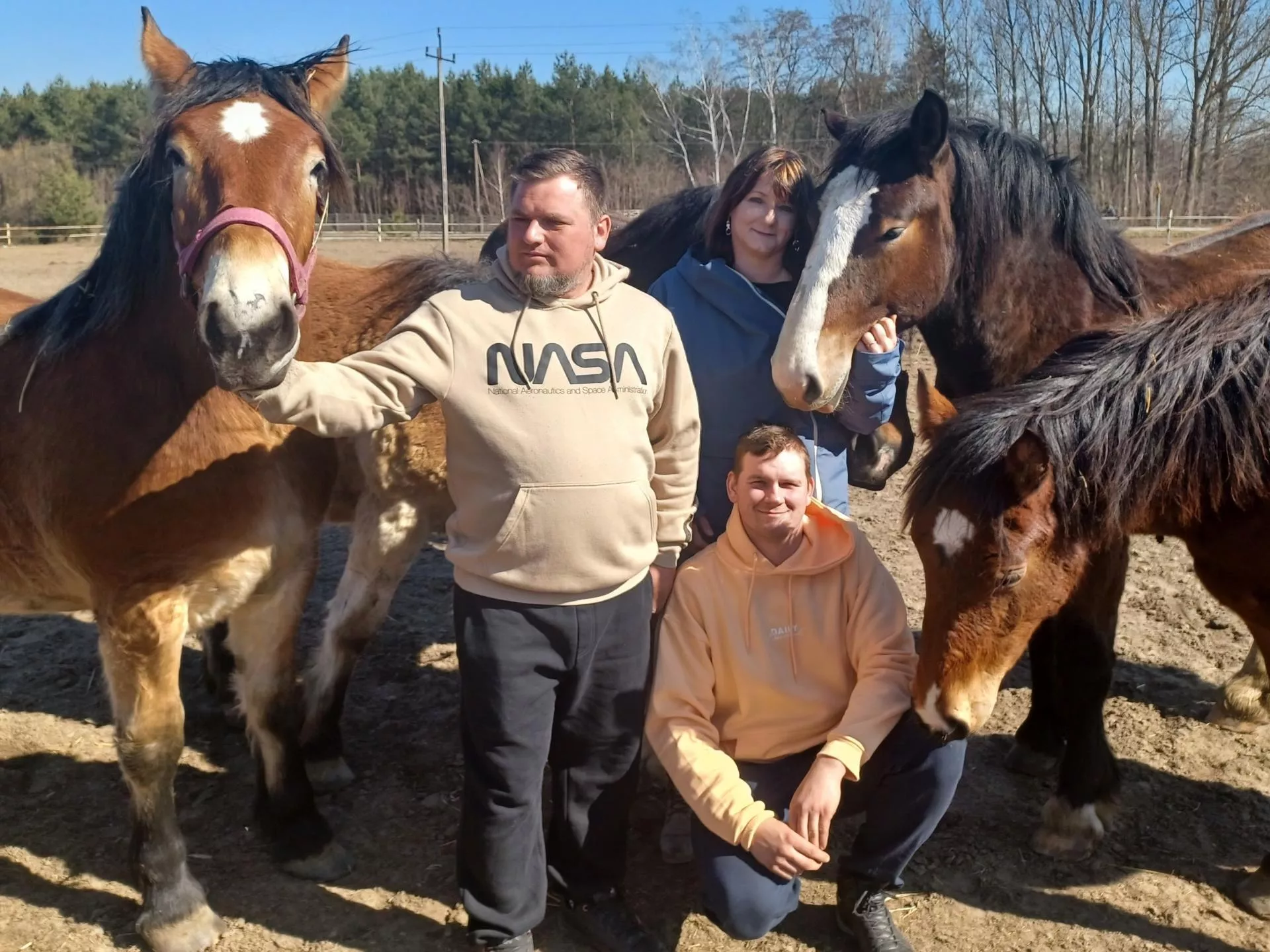 Rolnicy spod Opoczna idą po prąd. Zamienili opasy na bydło mleczne i doją klacze